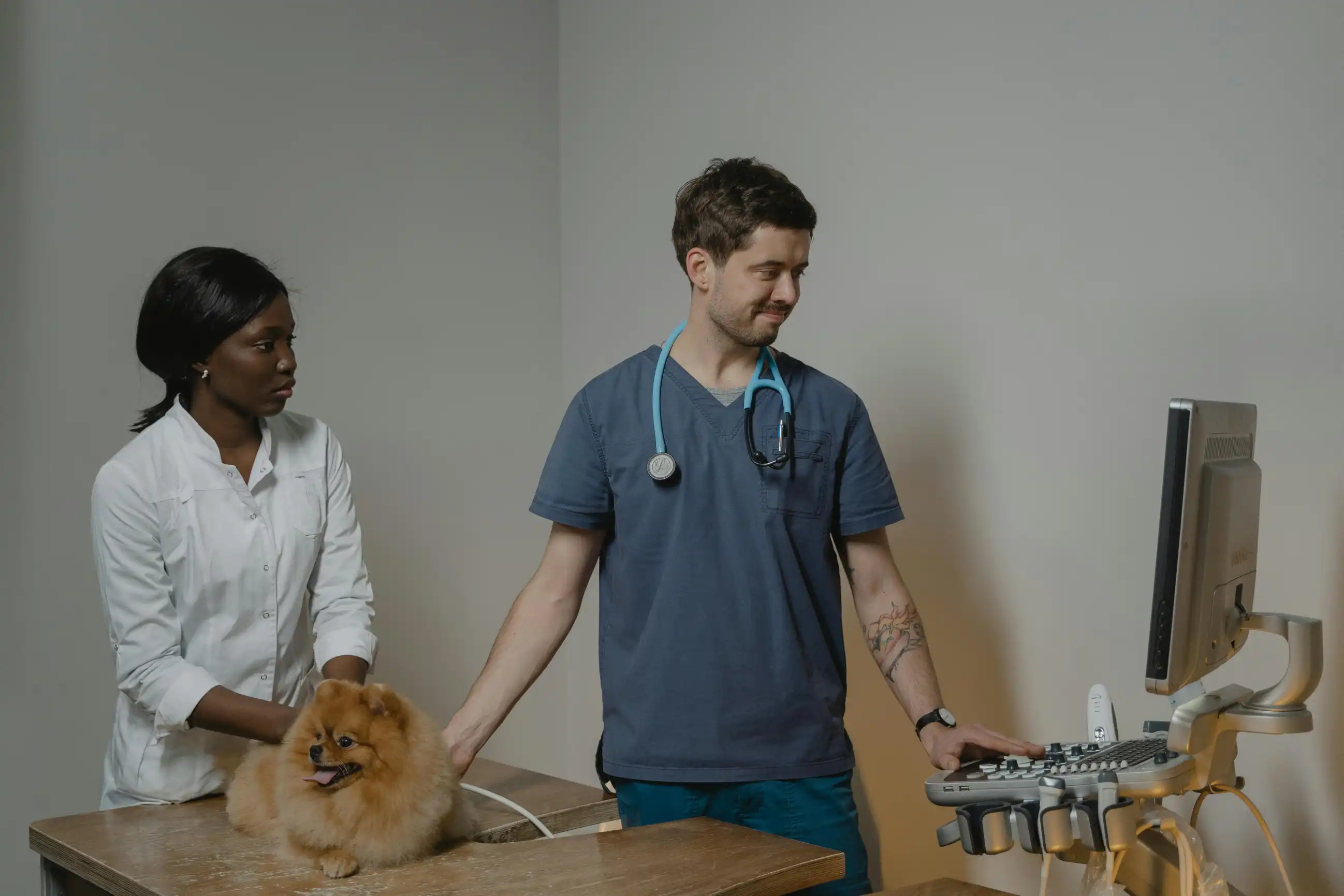 Veterinarian talking with a patient